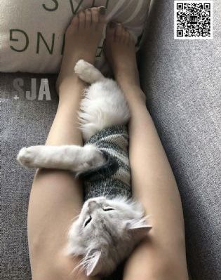 伊人影院综合网_BD英语在线播放